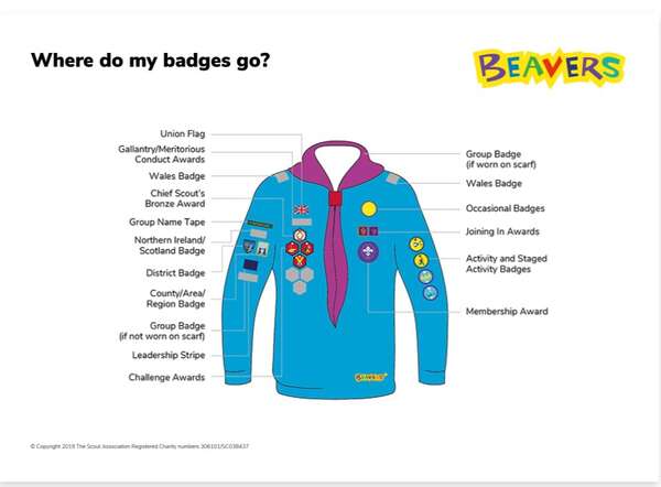 uniform_badge_placement_diagrams_beavers_pack_of_25_preview